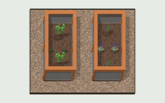 Edible raised bed pair in 3D
